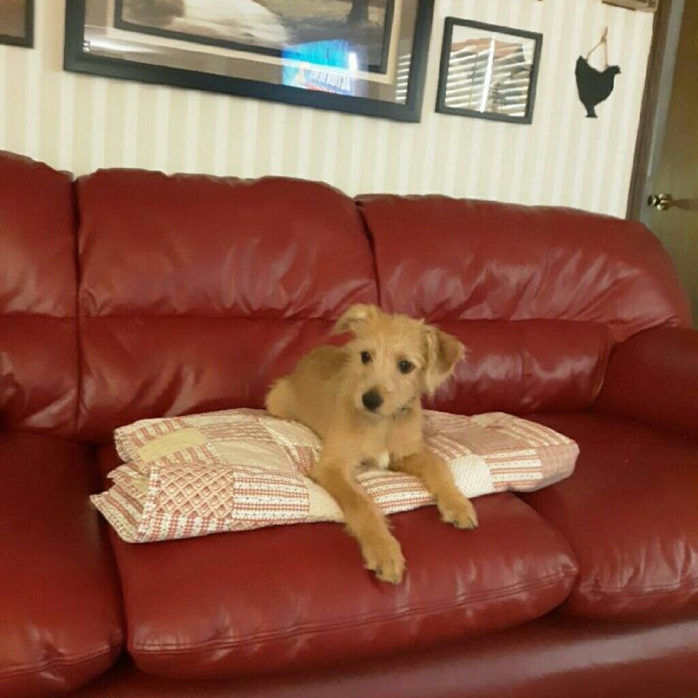 Meet your Posher, Debi